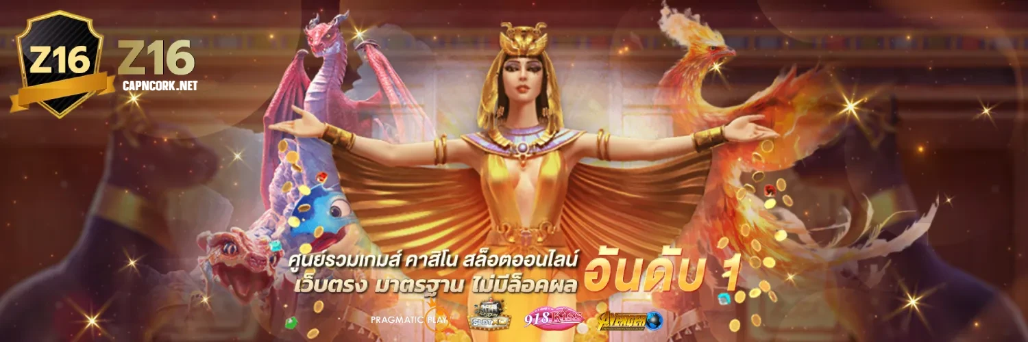 z16 ทางเข้า 2